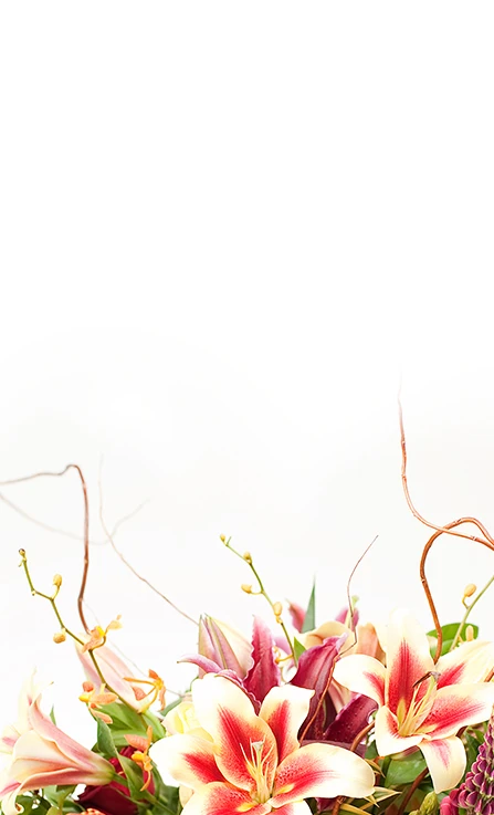 /images/stencil/original/image-manager//springmobile.jpeg